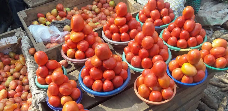 Nyanya 1KG