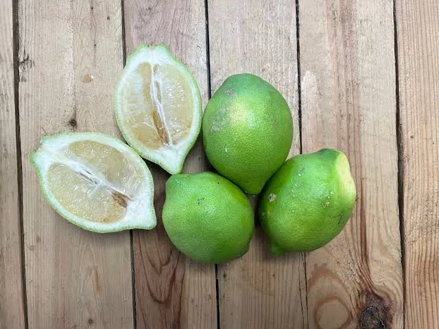 Lemon