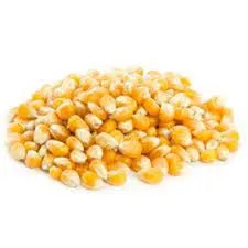 Raw popcorn