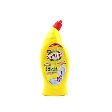 Toilet cleaner 