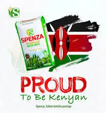 Spenza premium maize meal