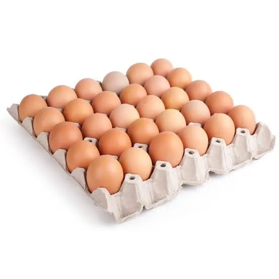 Tray of eggs