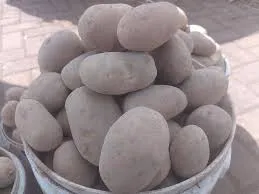  Waru Potatoes Â½ Kasuku â€“ Fresh & Starchy viazi from Nyeri
