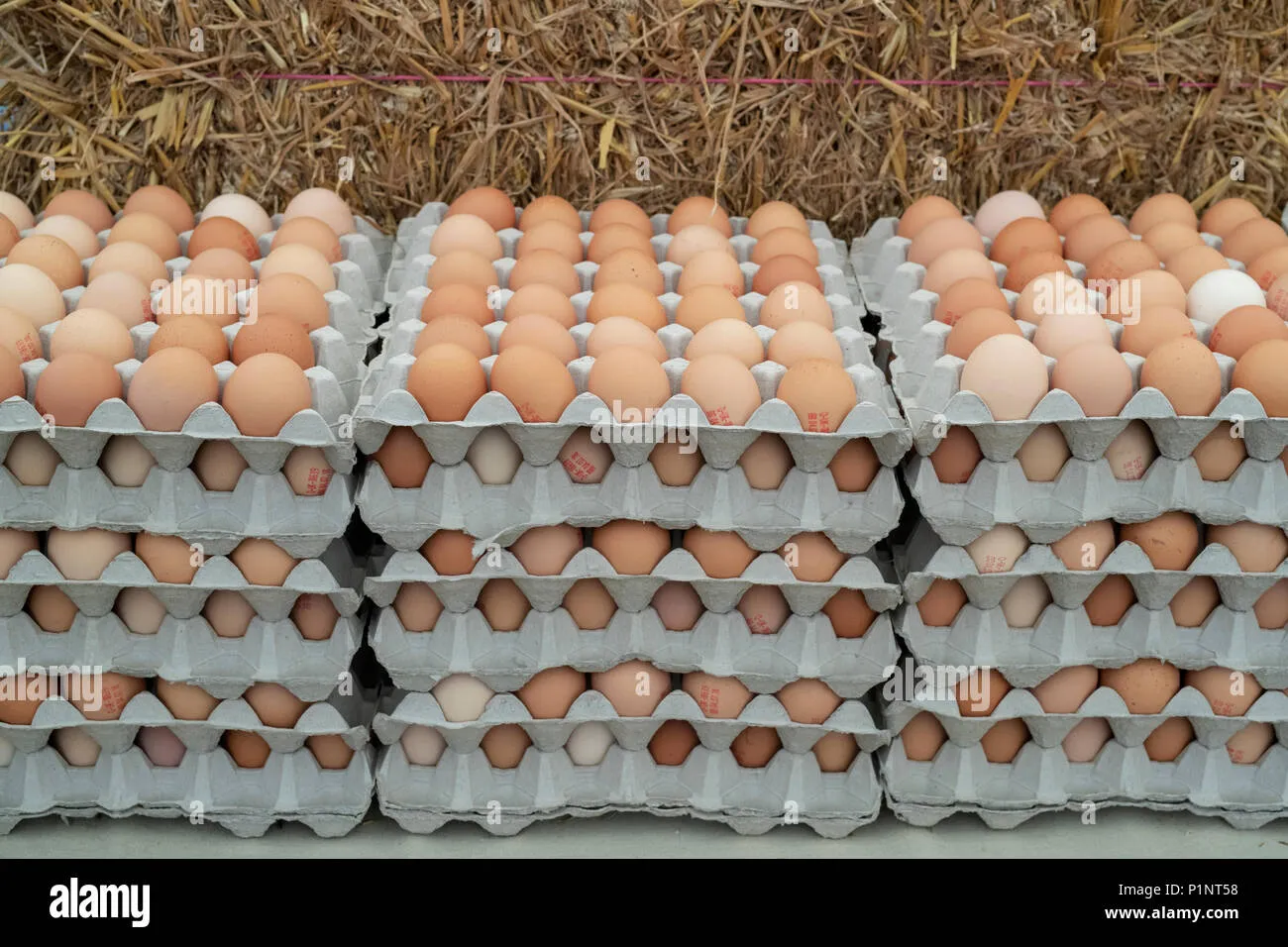 Tray of Eggs (30pcs)